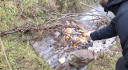 1_282429-3456x1900.jpg