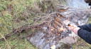 1_282529-3456x1910.jpg