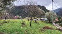 20260208_112222.jpg