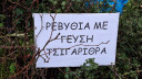 20260208_114506.jpg